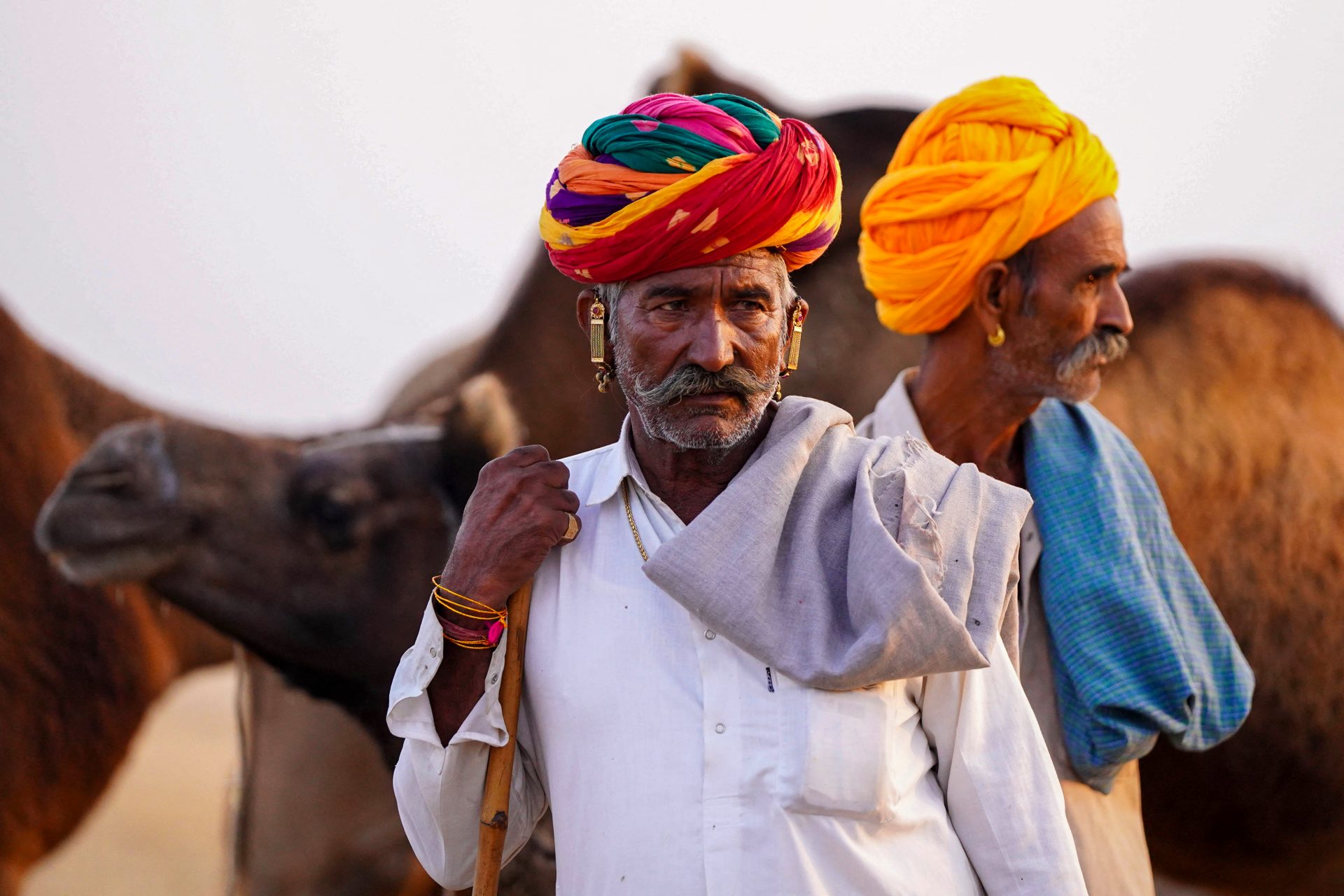 Pushkar Camel Fair: Things you might not know!