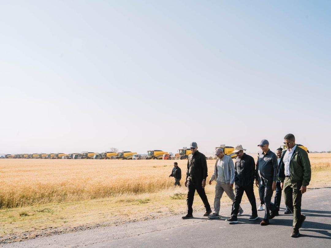 Ethiopia Registering Impressive Year-on-Year Wheat Productivity, Says PM Abiy