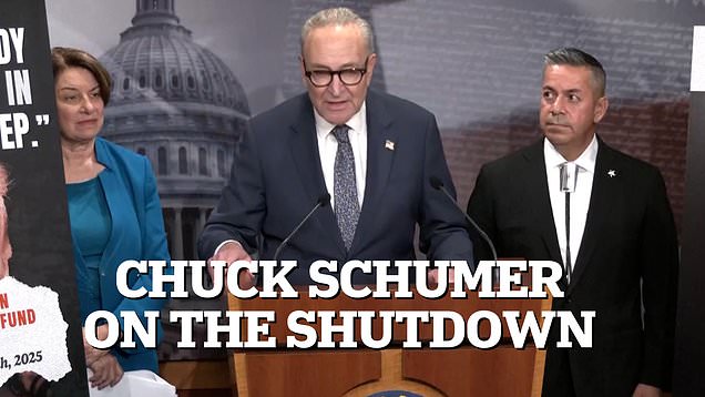 Chuck Schumer slams Republicans for not funding SNAP