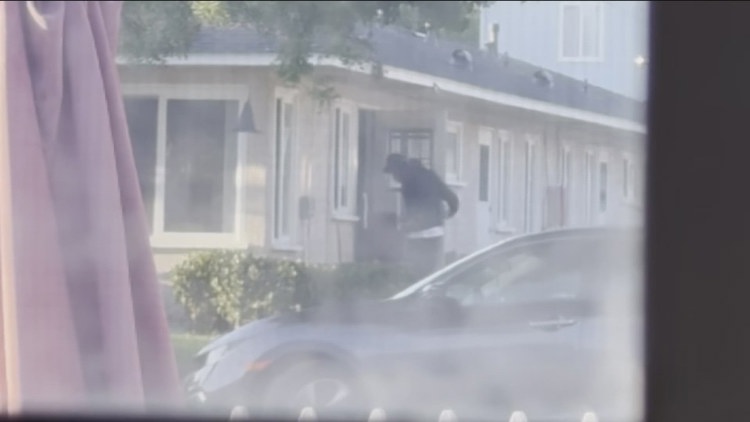 Video shows burglar making off with $5,000 worth of jewelry in Pacific ...