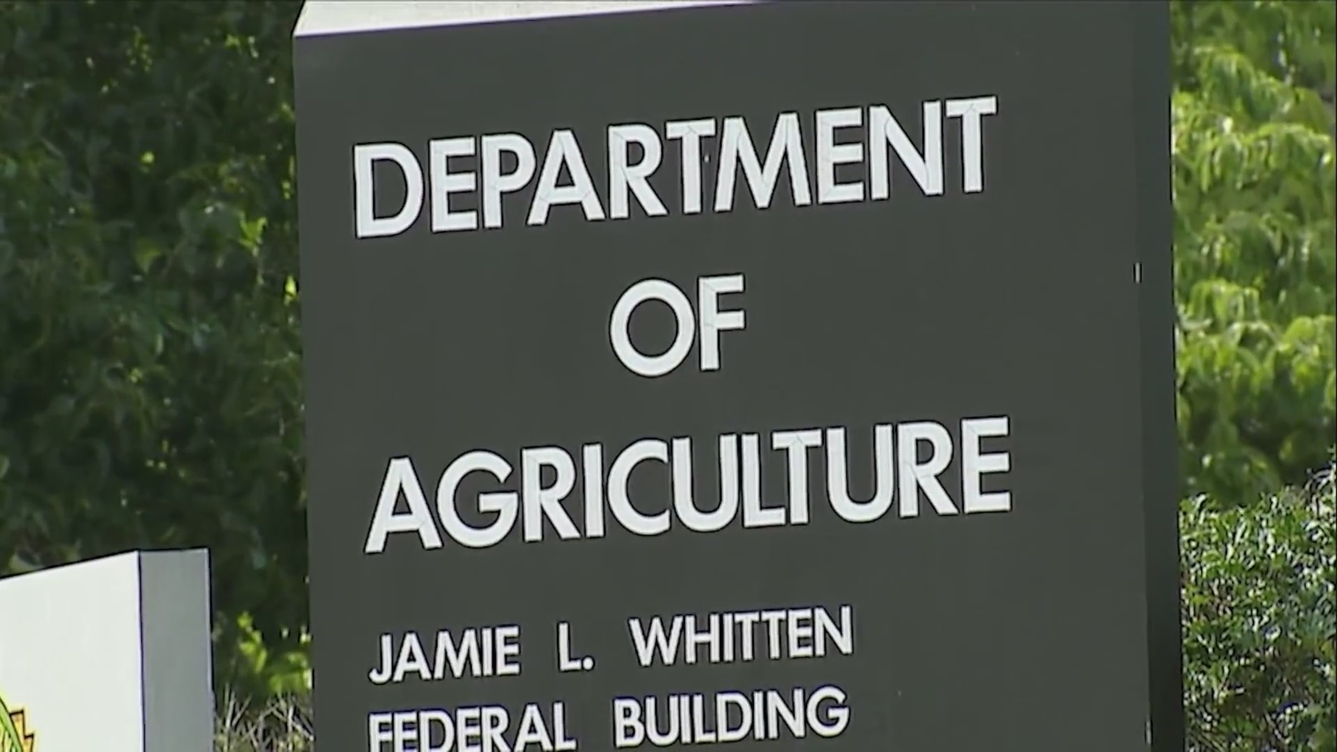 Colorado law makers speak on plans to cover SNAP benefits amid ...