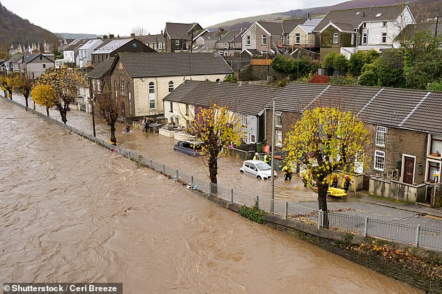 Home Insurance Costs Drop: What to Do If Yours Feels Too High