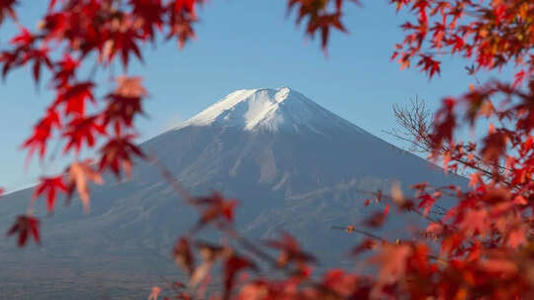 Indians need a visa to visit Japan but since 2024, the country has been offering e-visa facilities to travellers from India.