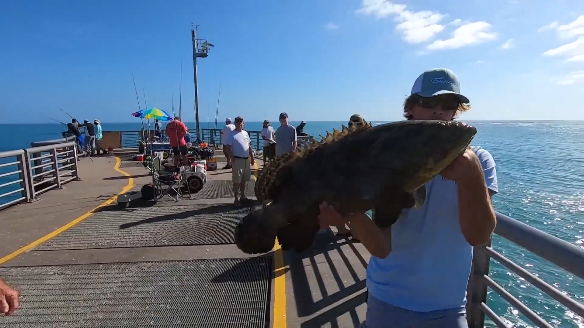Catching monster fish - unbelievable size and power