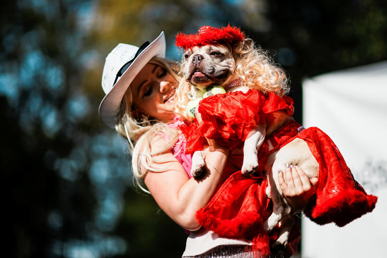 Most popular Florida Halloween costumes? See Google Frightgeist rankings