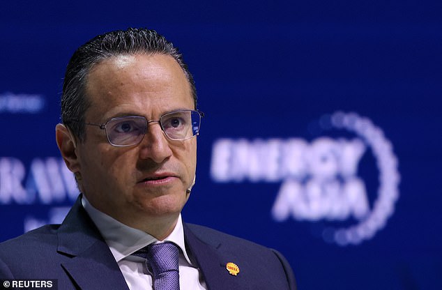 Shell boosts shareholder returns as profits rise