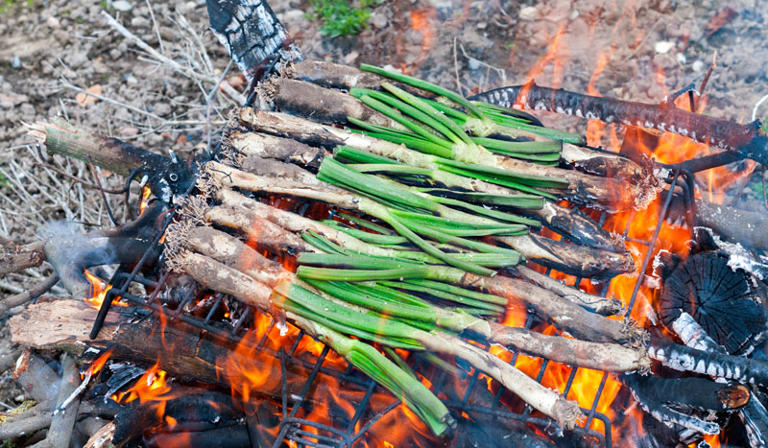 Calçot, un antioxidante vegetal con mucho sabor