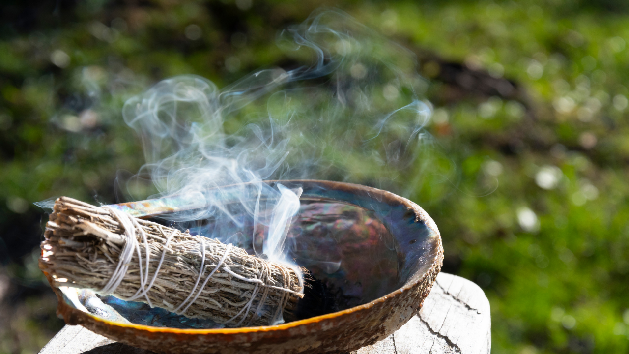 The Witch’s Pantry Real herbs once used in dark rituals