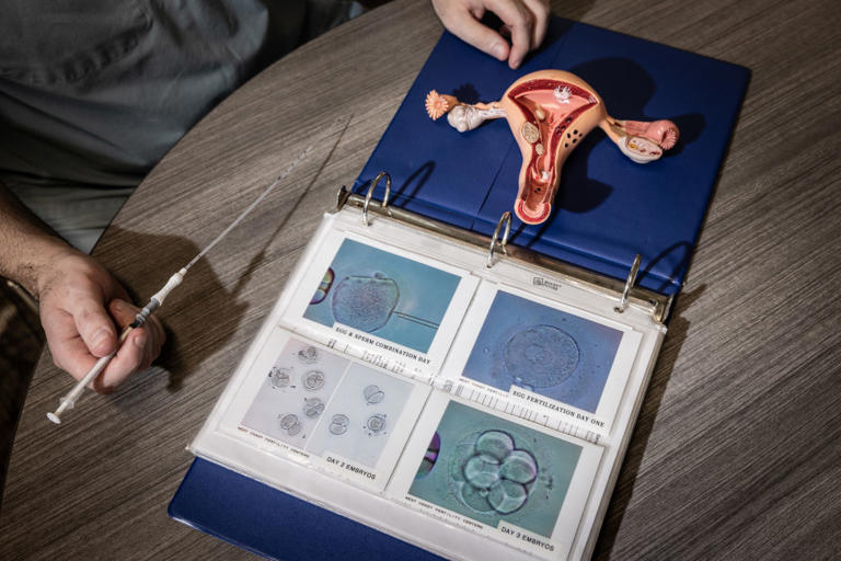 Trump’s IVF Plan Won’t Deliver