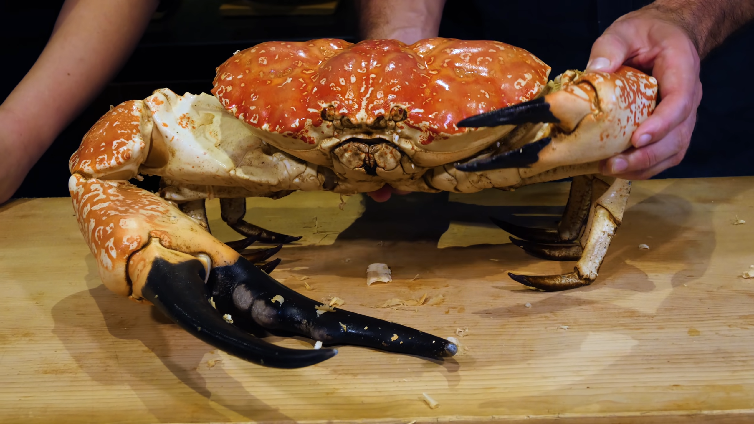 Japanese Chef Prepares $700 GIANT Tasmanian Crab!