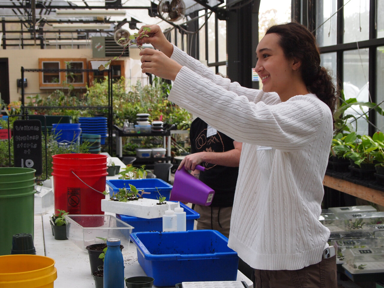 The effects of therapeutic horticulture on student well-being and ...