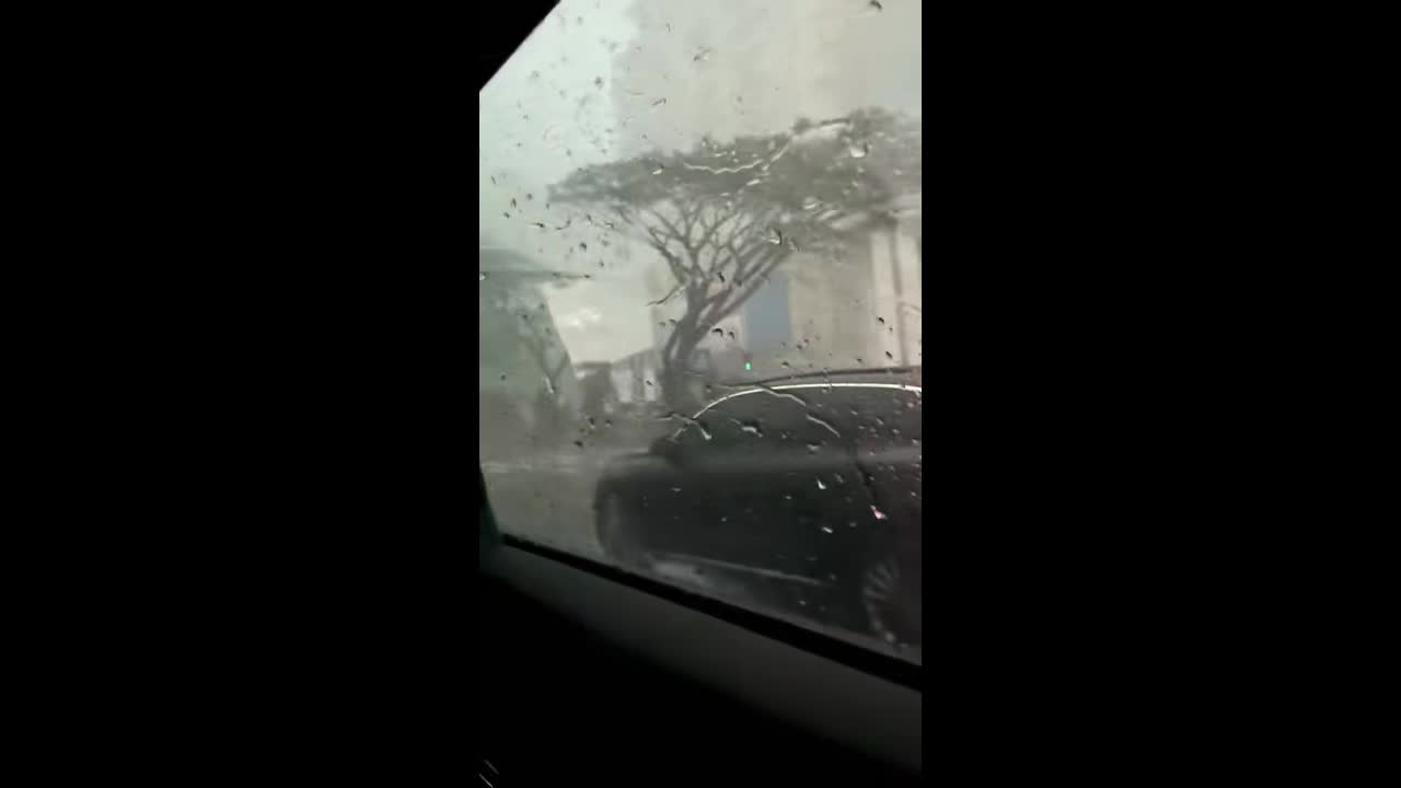 Lightning strikes tree during typhoon in Hainan, China