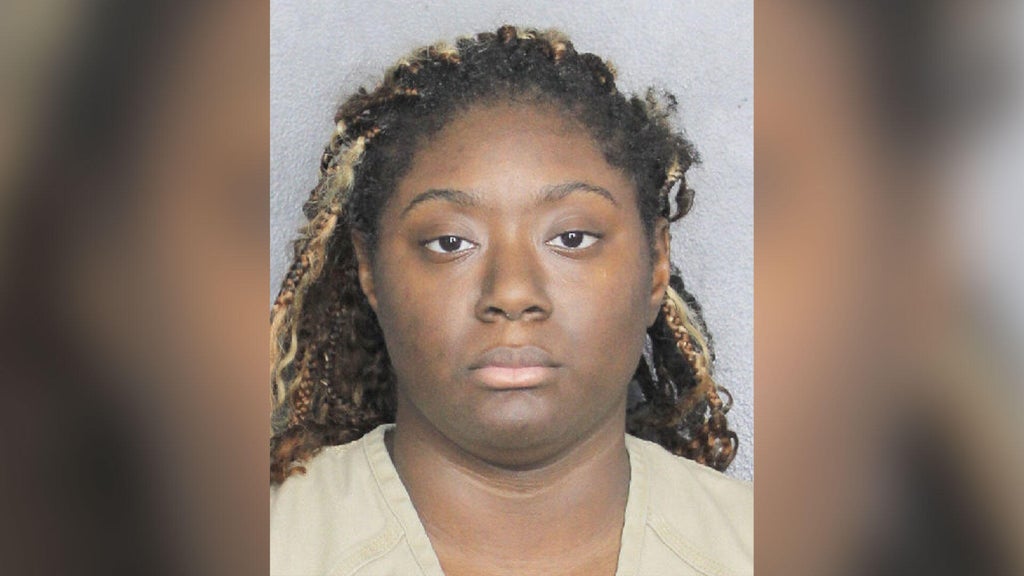 Woman charged with attempted murder after I-95 road rage shooting in ...