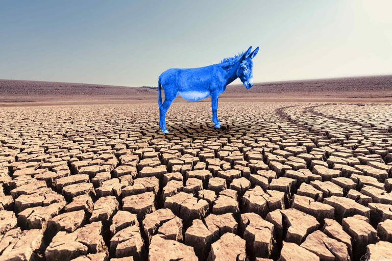 Why Democrats Aren’t Talking About Climate Change Much Anymore