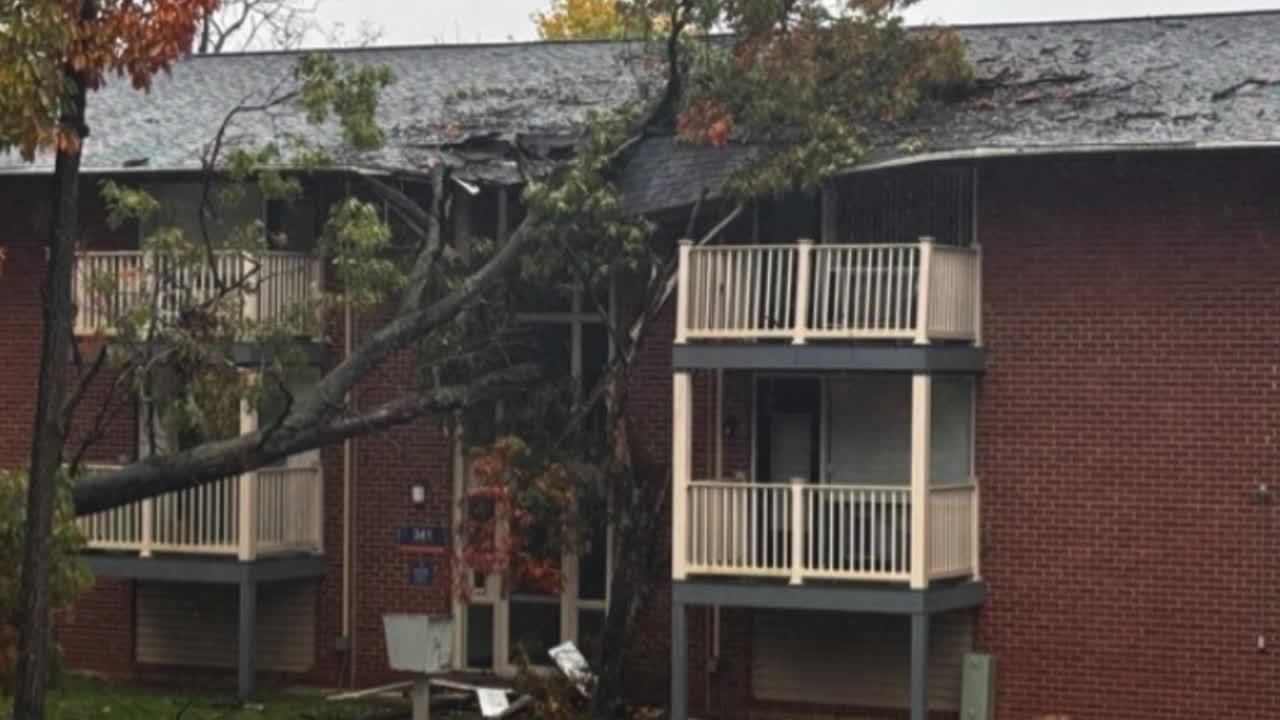 Tree falls into Harford County apartment building during Thursday ...