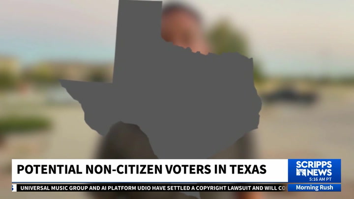 Texas Voter Registration Inquiry: Noncitizen Status Examined