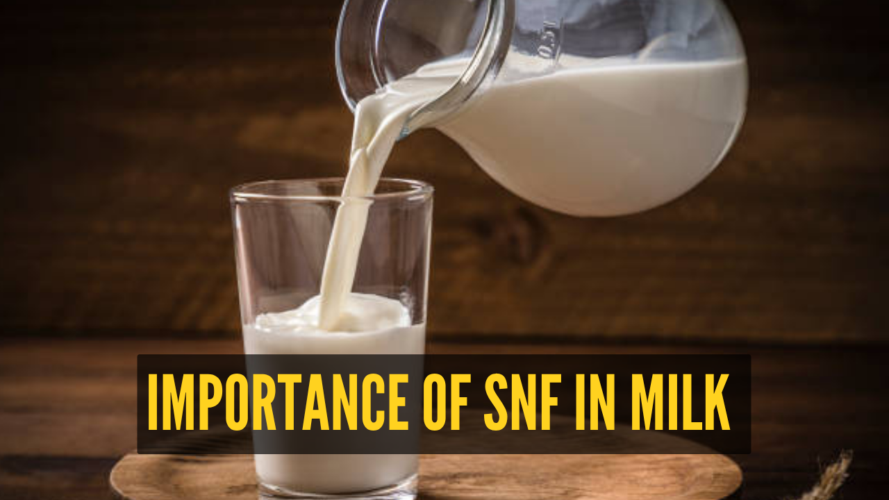why-checking-snf-percentage-in-milk-packets-is-extremely-important-and