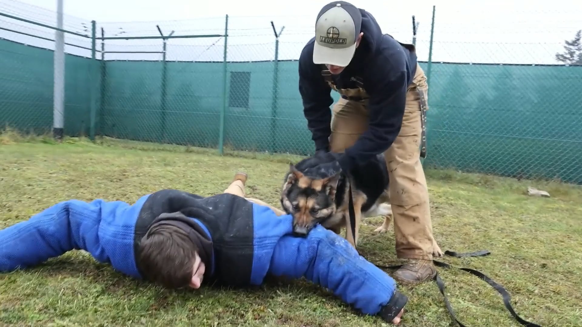 Training programs for dogs in the US Army