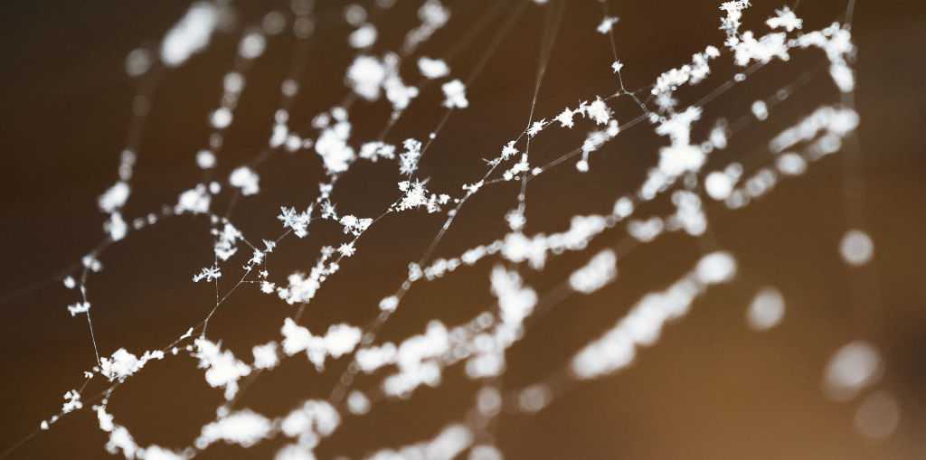 Iowa's first snowflakes of the season may fly this weekend