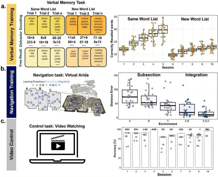 How guided cognitive training may improve brain performance