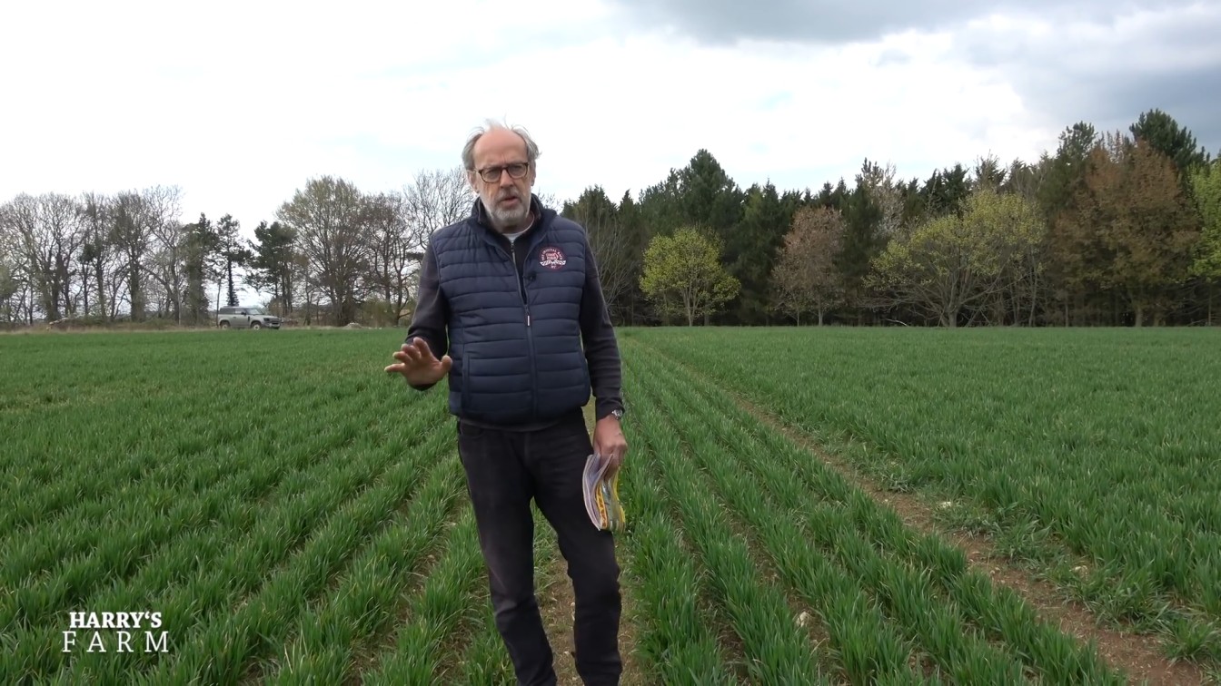 Farm Update & Rising Food Prices Explained