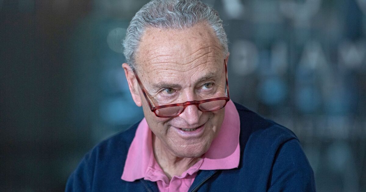 Chuck Schumer scolds reporter for spreading lies about SNAP funding ...