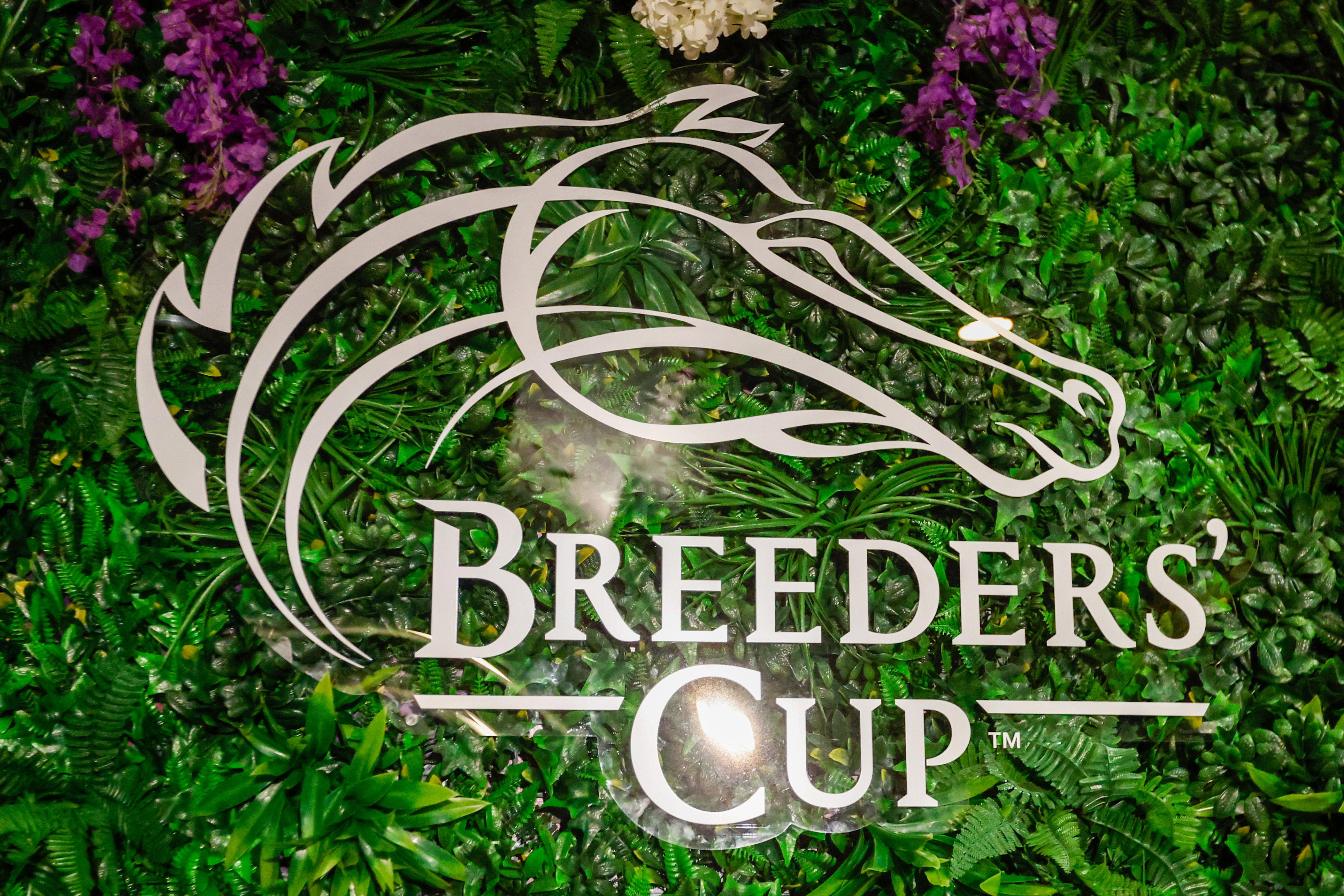 Breeders Cup 2027 Race Schedule
