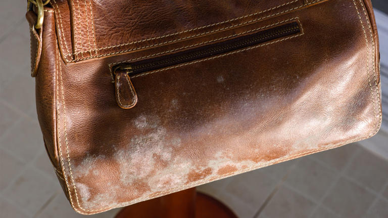 The Affordable Handbag Storage Solution That Makes The Most Of Closet Space