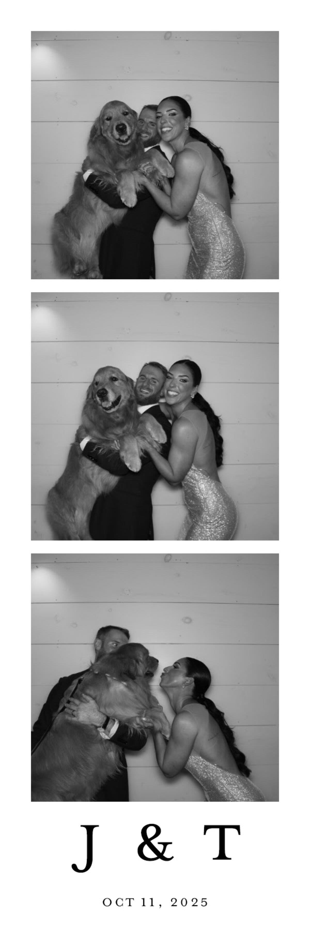 Overly Emotional Golden Retriever Lands A Special Role At His Parents