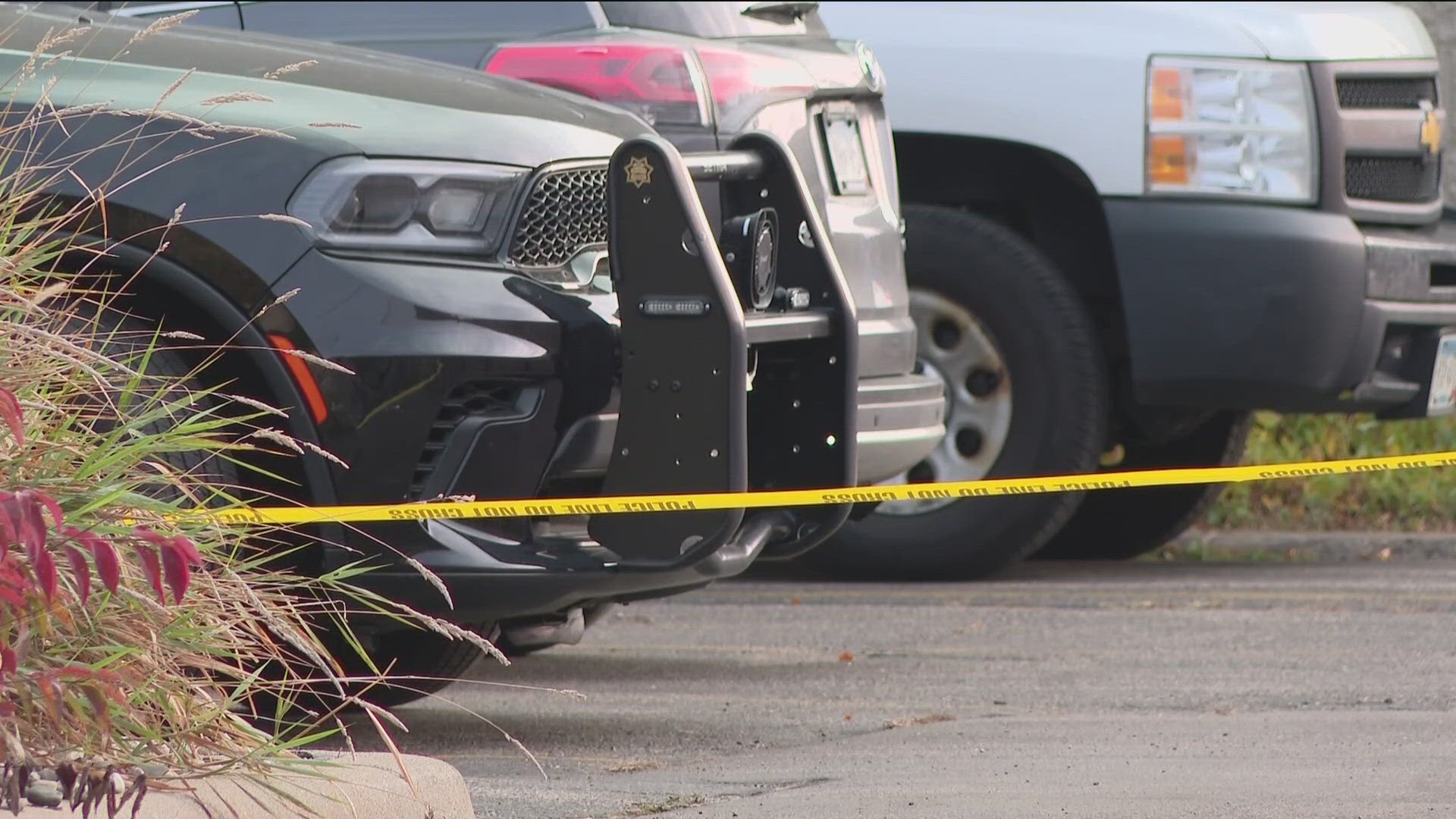 Man fatally shot confronting suspected car thief outside his workplace ...