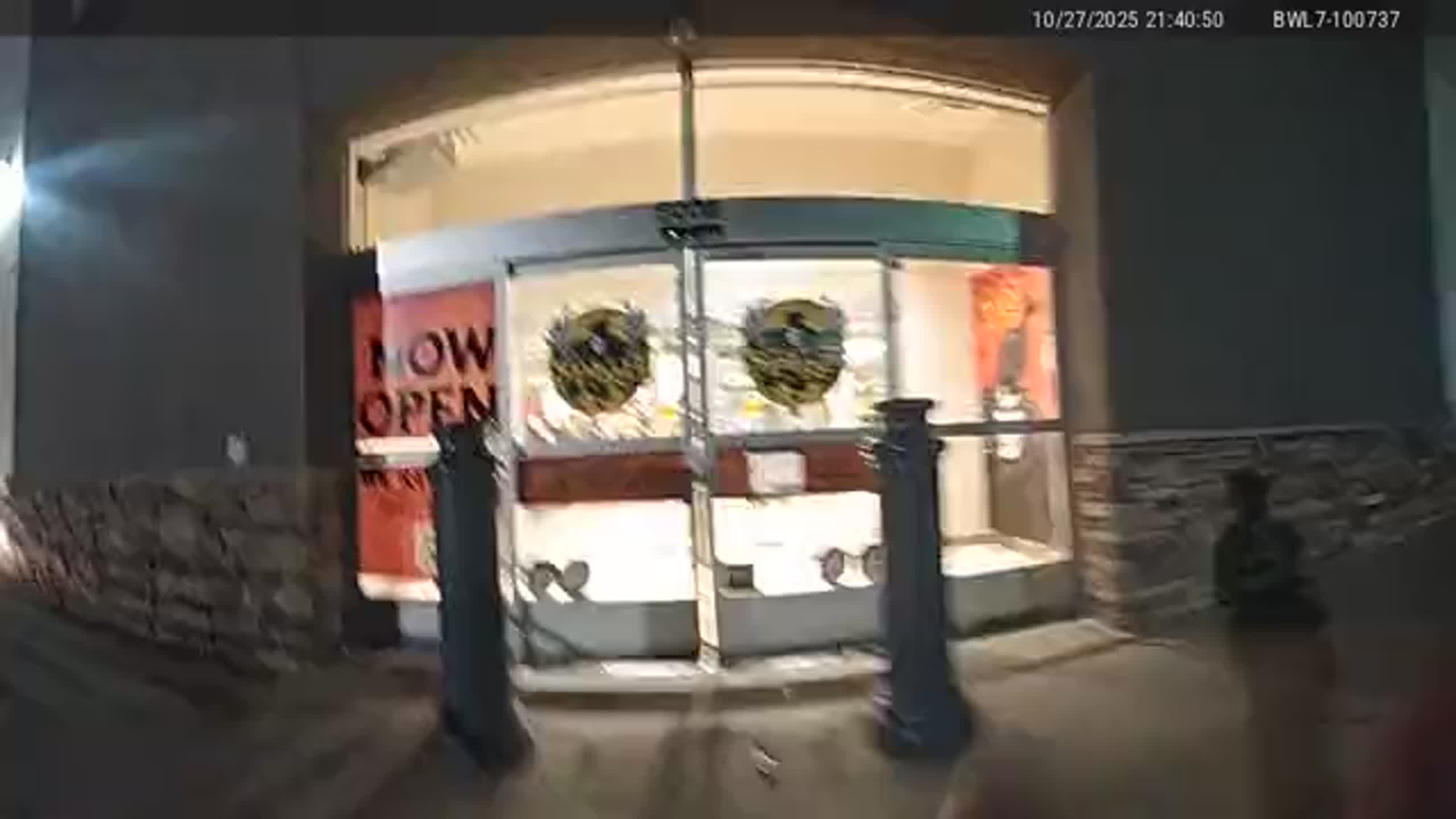 Pet monkey gets loose in Spirit Halloween store in North Texas