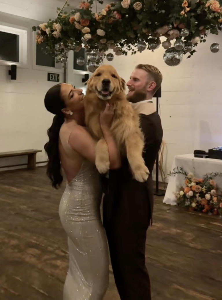 'Overly Emotional' Golden Retriever Lands A Special Role At His Parents ...