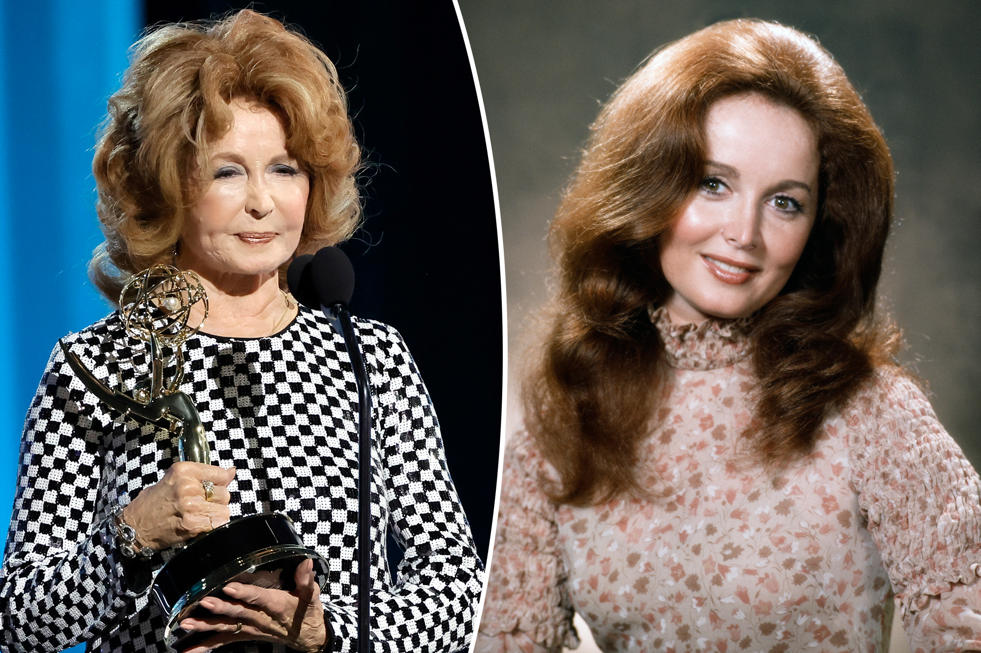 suzanne rogers net worth