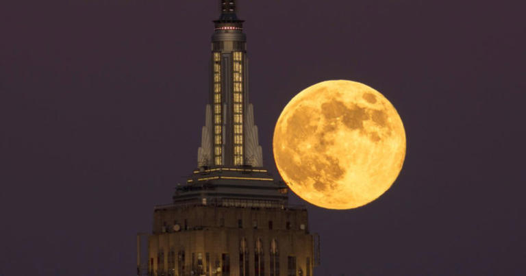 Will the Beaver Supermoon — the biggest of 2025 — be visible in your ...