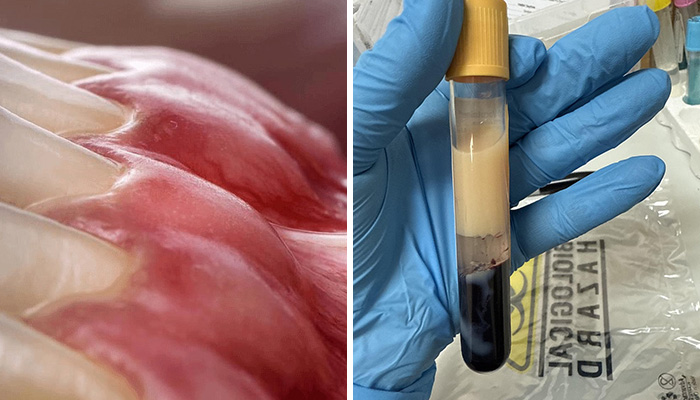 32 Of The Most Bizarre And Unsettling Medical Posts Shared Online