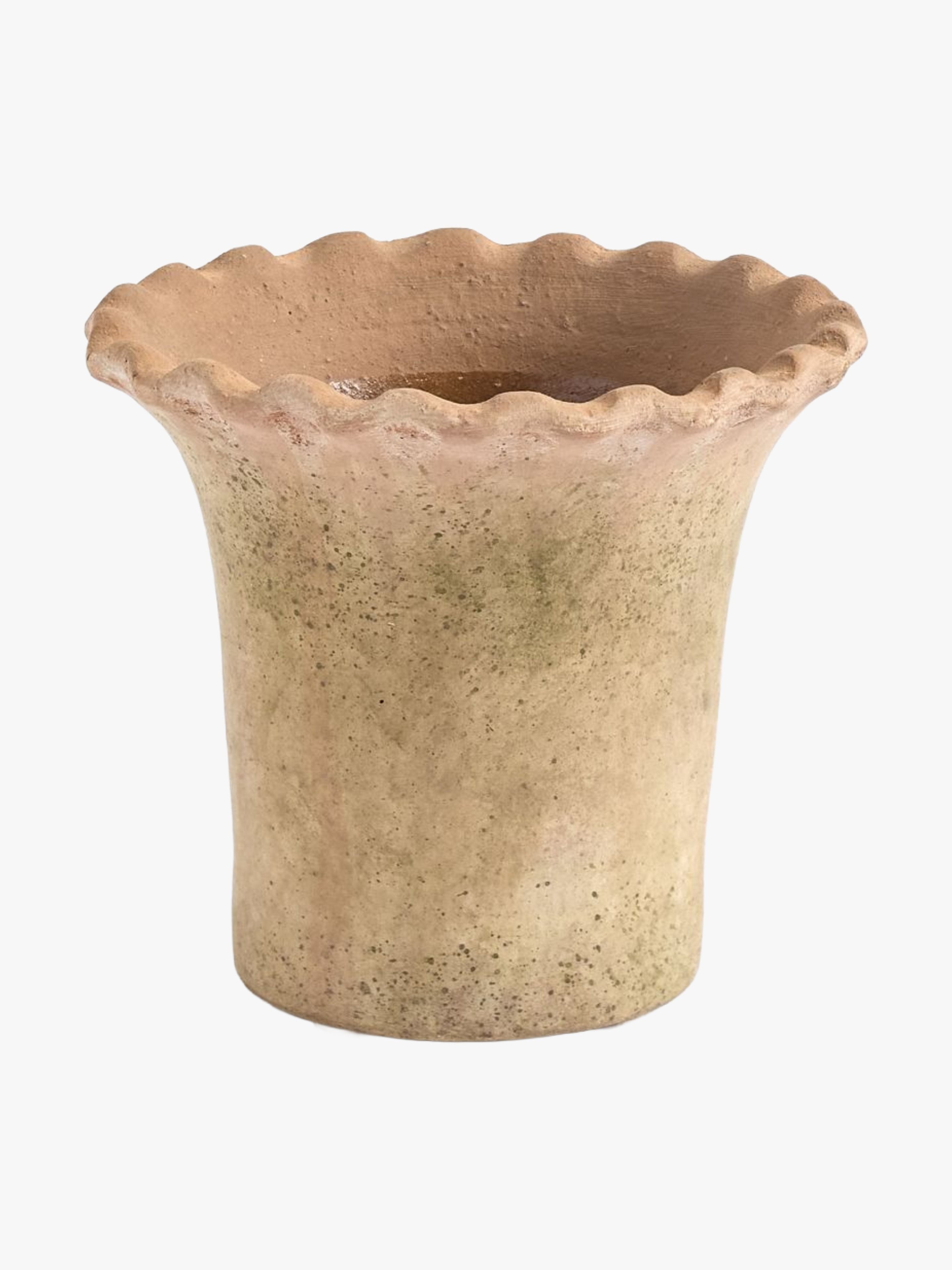 The Best Indoor Planters Give Your Greenery an Aesthetic Boost