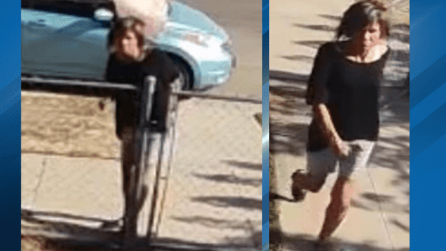 Bakersfield police seek public's help to identify woman in Grace Street ...