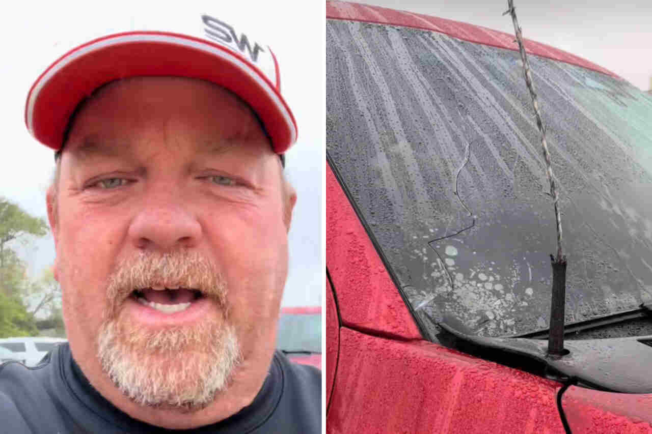 Video viser, hvad der skete med Ford F-150 pickup, der blev ramt af lyn