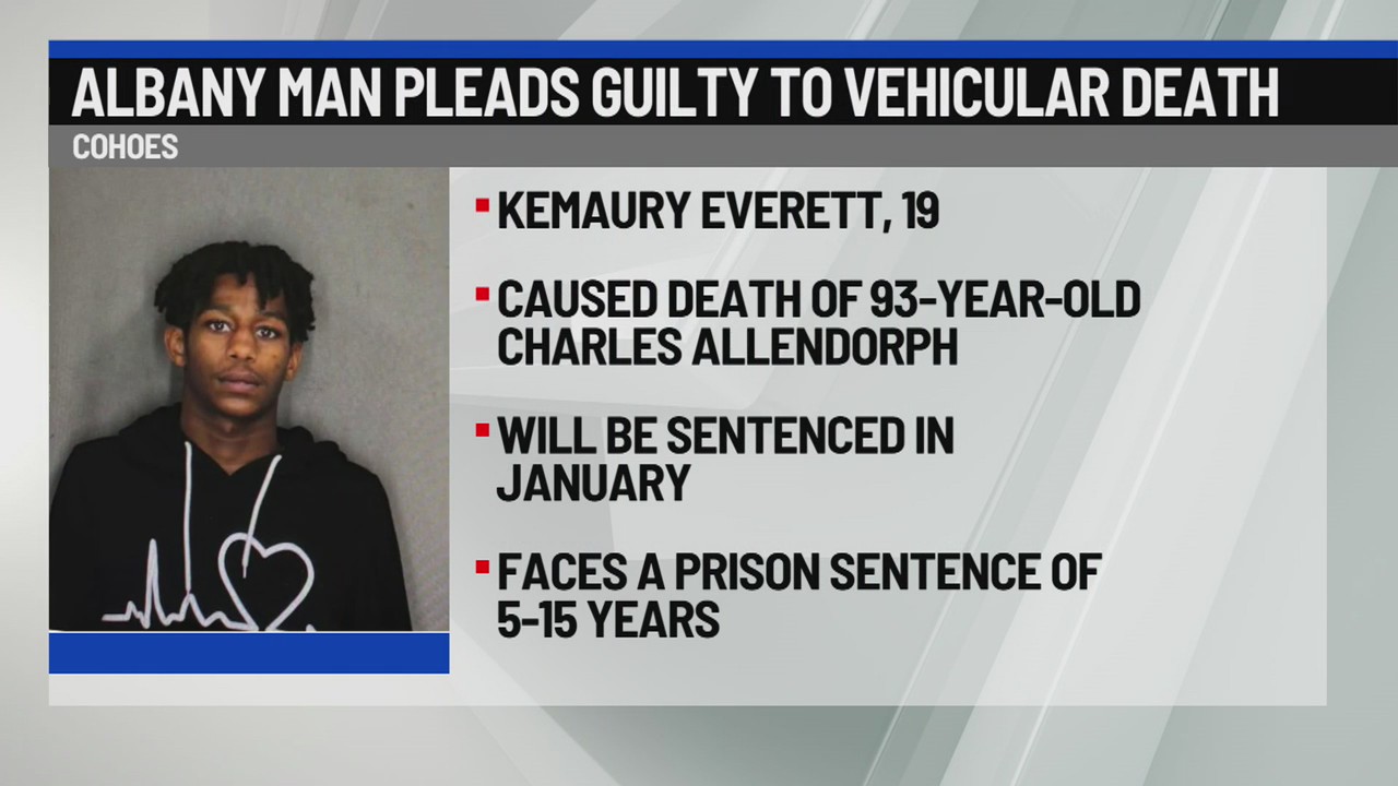 Albany man pleads guilty to vehicular death