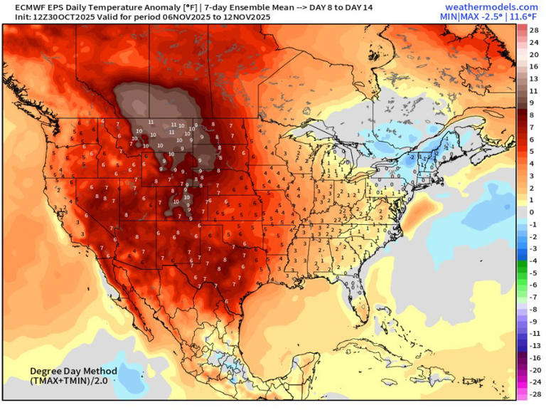 Halloween Forecast: Temps in low 50s with slight chance for evening ...