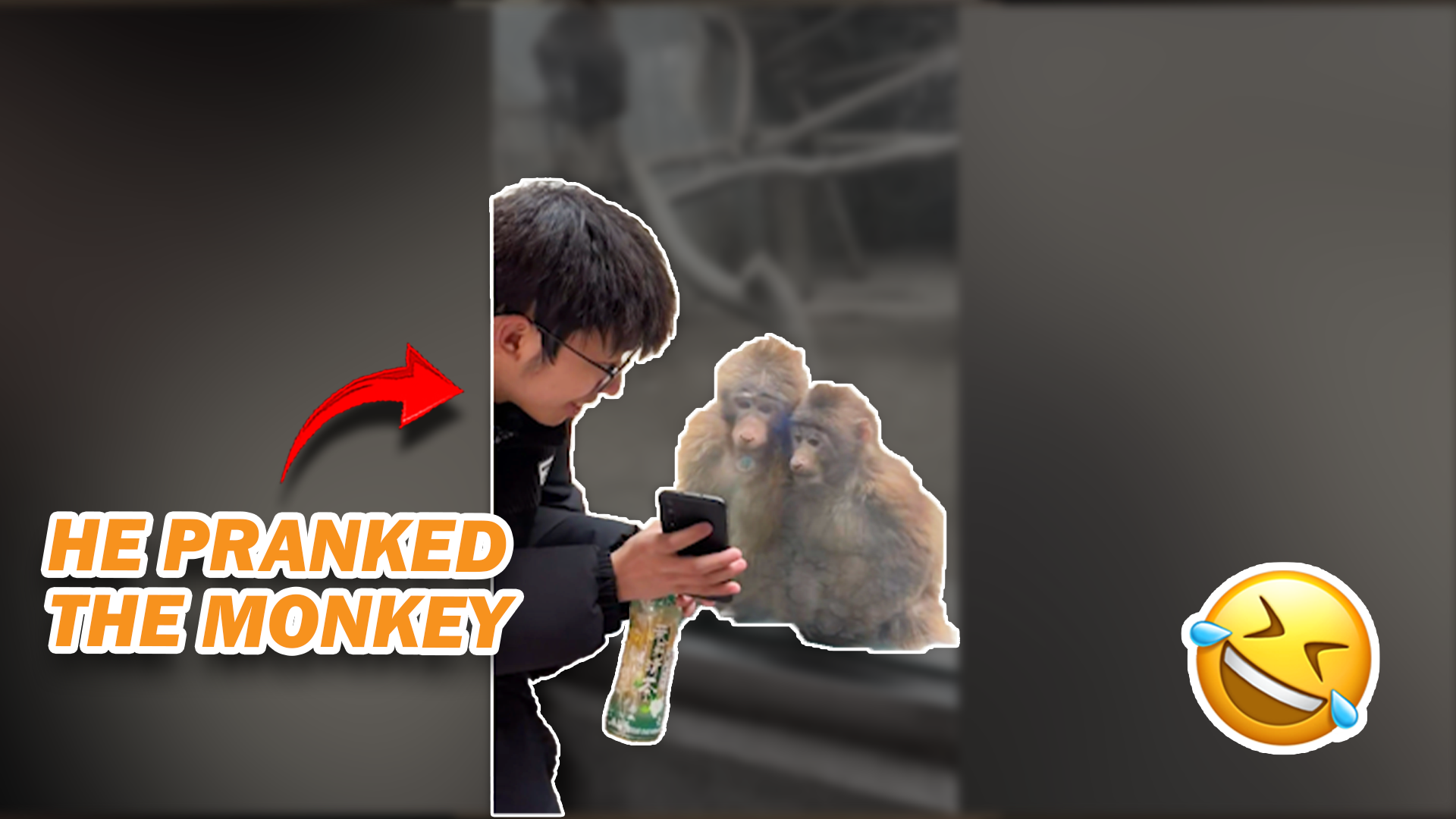 Random Funny Video Compilation