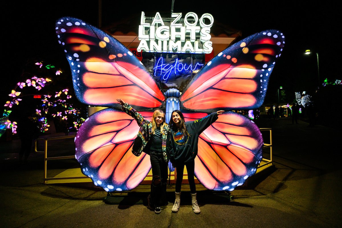 2025-la-zoo-lights-animals-aglow-la