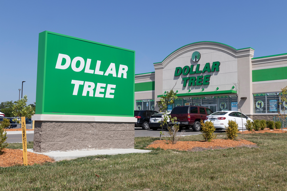 The Best Dollar Tree Food Deals That Cut Grocery Costs in Half