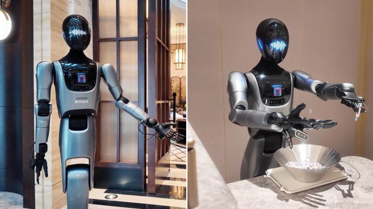 Robotic Butler: Asisten Rumah Pintar yang Ubah Cara Hidup