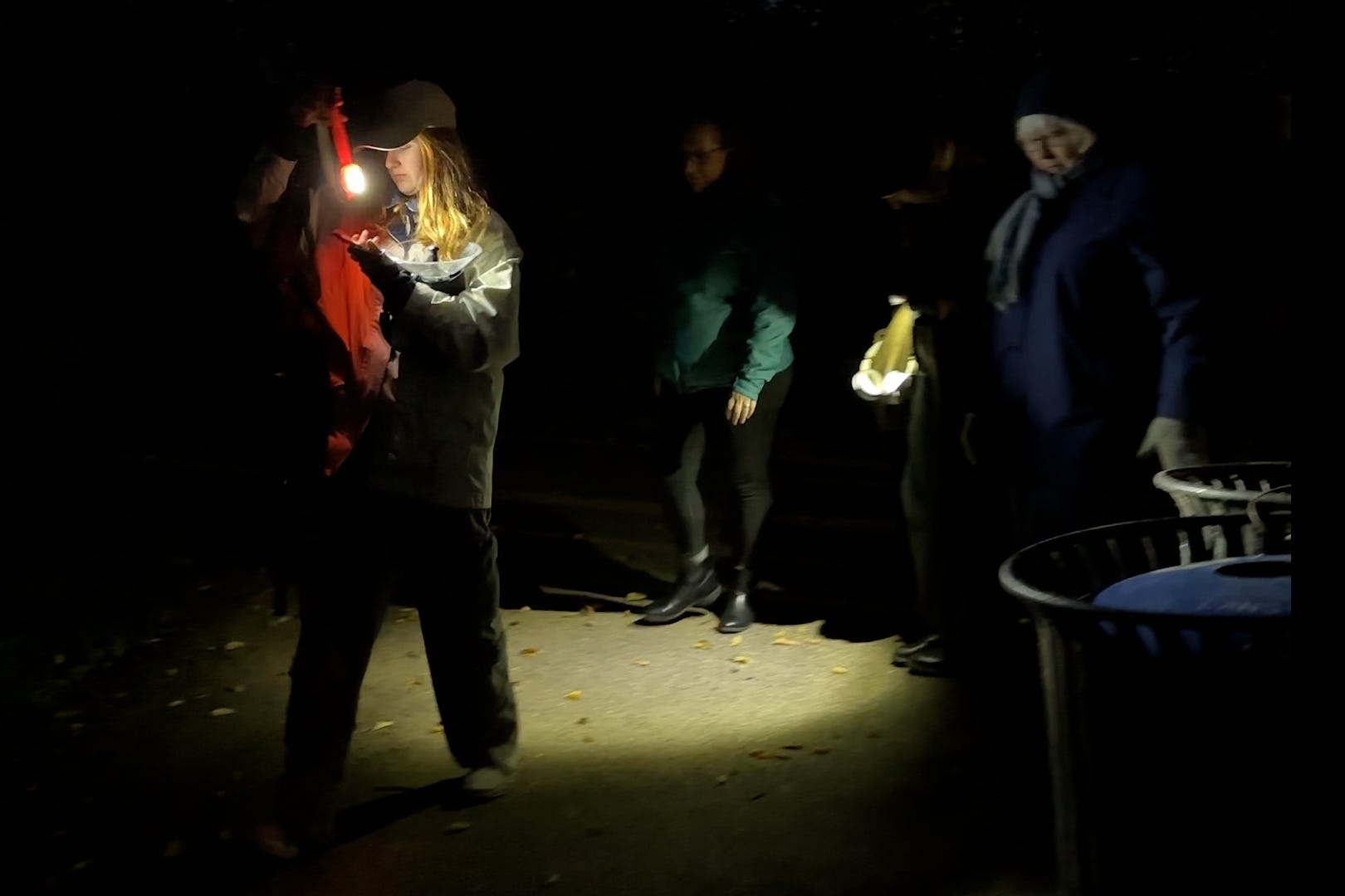 Bat behavior is still a mystery. UW-Madison's 'Bat Brigade' helps ...