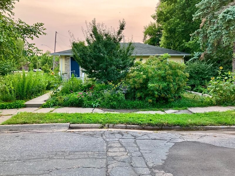 Homeowner shares striking before-and-after photos 4 years after ripping ...