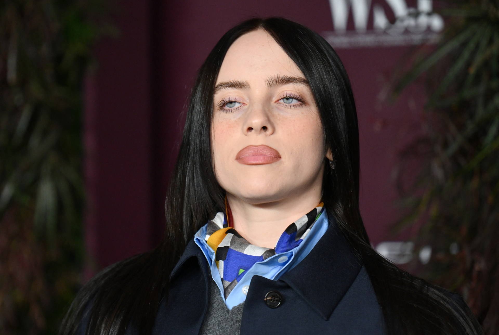 Billie Eilish's 11,500,000 donation sparks confusion