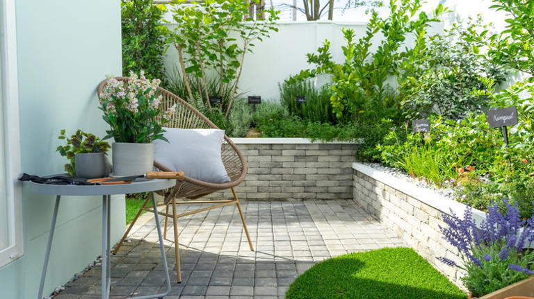 How A Yard With Little Lawn Can Still Attract Pollinators