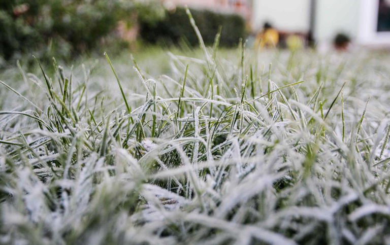 How to winterize your lawn before the first freeze
