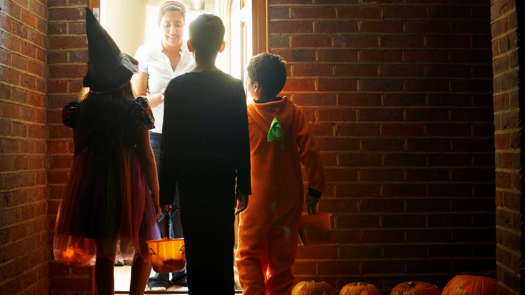 Protecting your pets during trick or treating How you can keep your